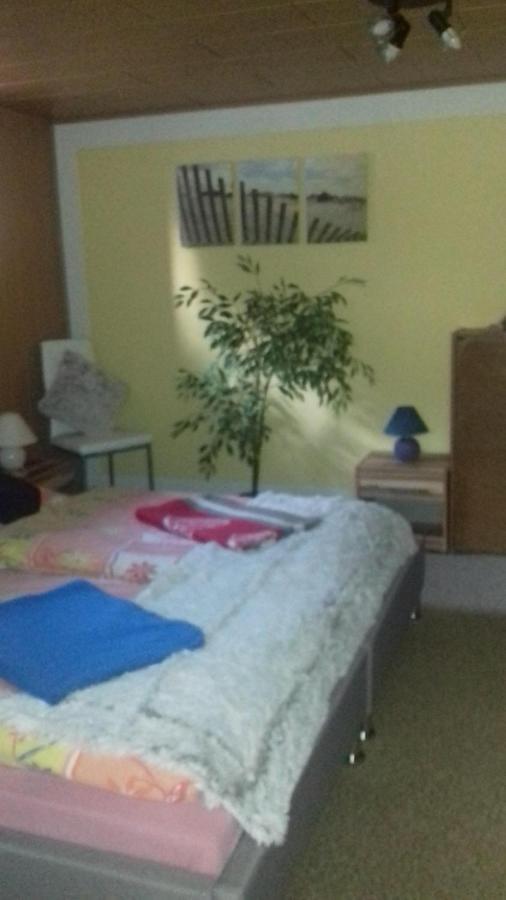 Ferienwohnungen Langer Altenberg  Zewnętrze zdjęcie